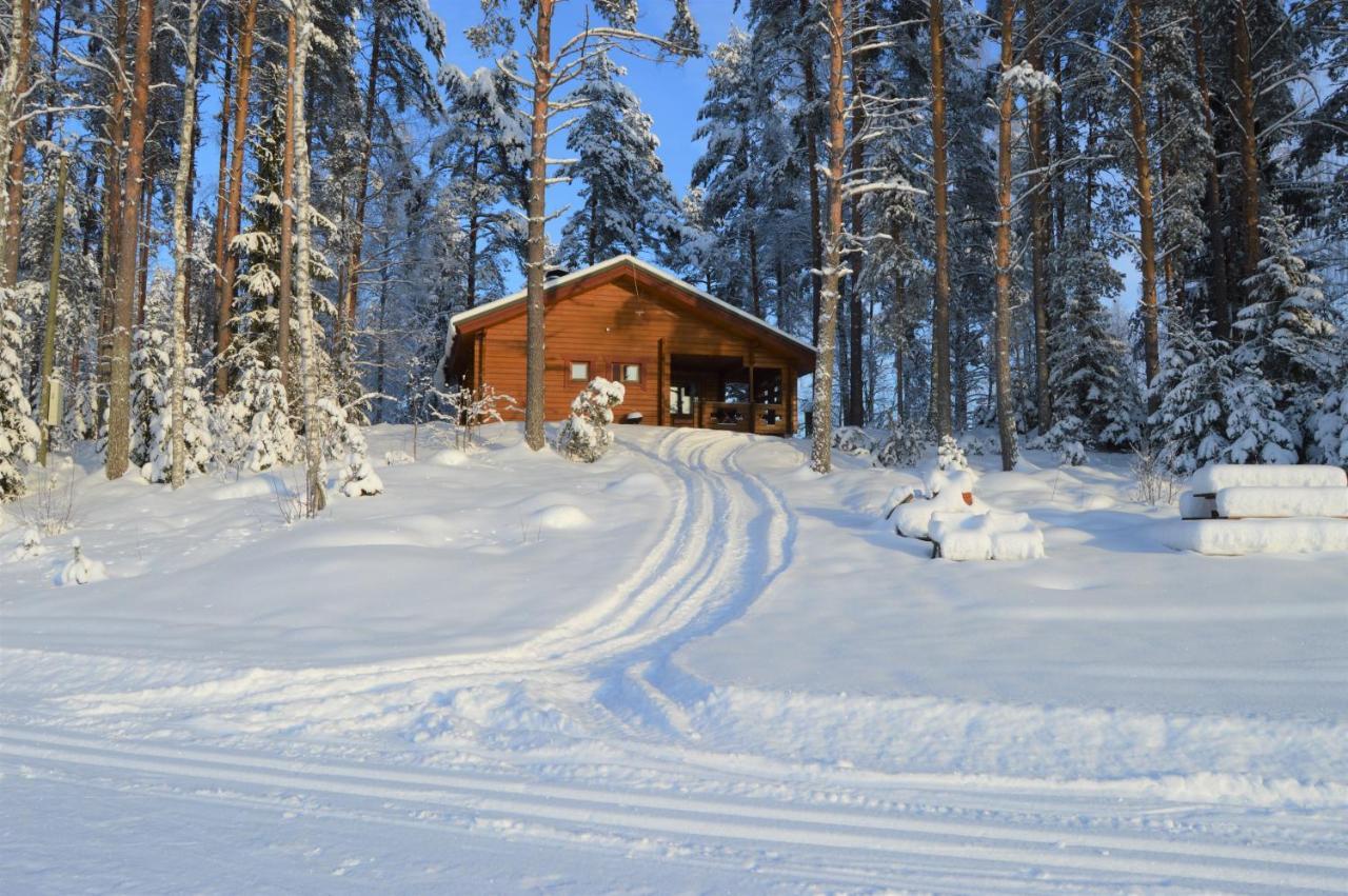 Rinnepelto Holiday Cottages Tahkovuori Eksteriør bilde